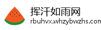 挥汗如雨网